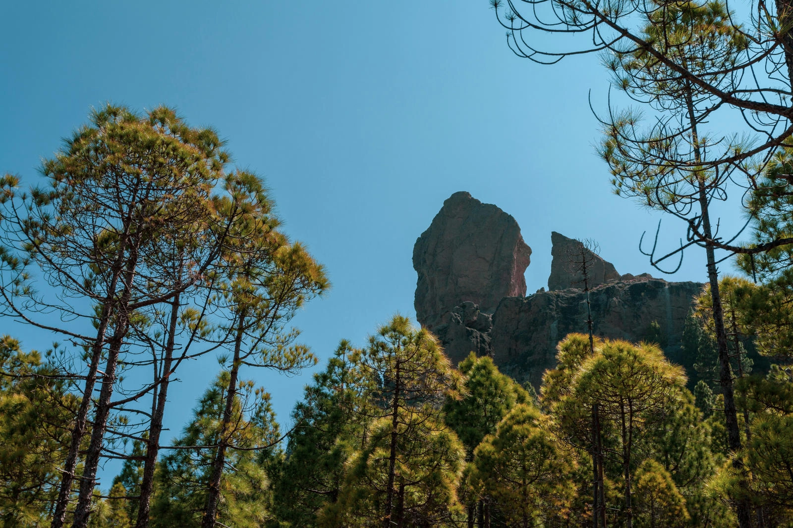 Roque Nublo auf Gran Canaria